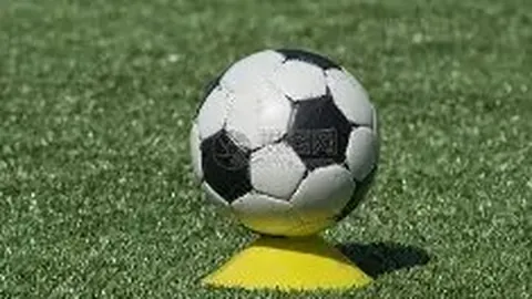 皇冠体育app下载